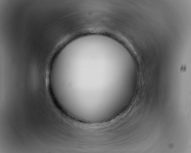 X0000103260019200808291054