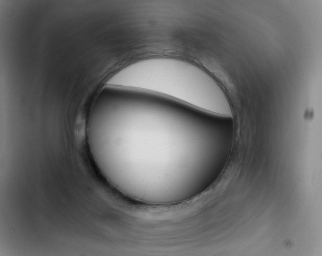 X0000103260021200808291053