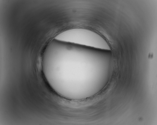 X0000103260022200808291053