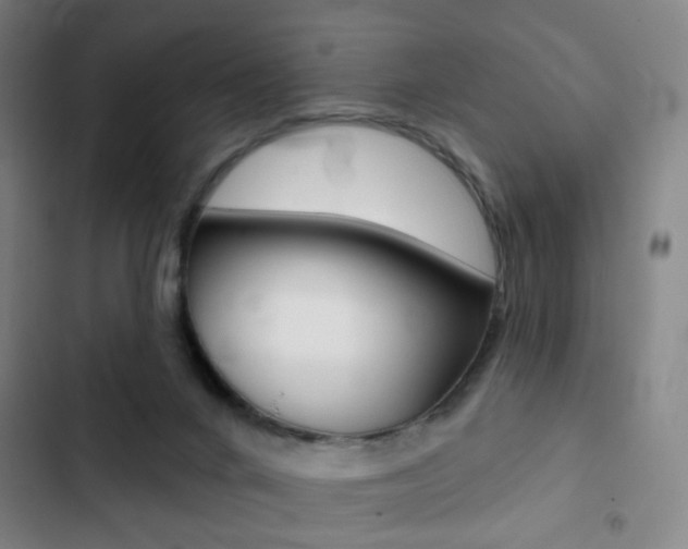 X0000103260024200808291053