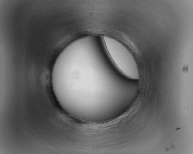 X0000103260025200808291053