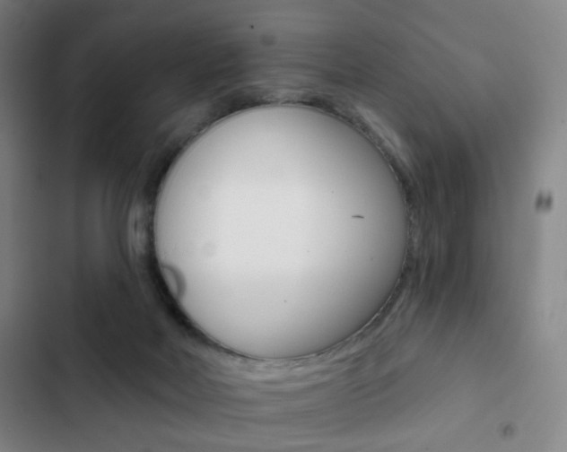 X0000103260026200808291053