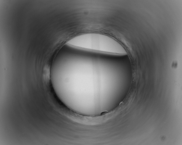 X0000103260027200808291053