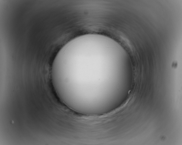 X0000103260029200808291053