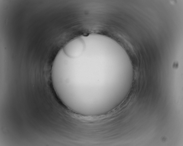 X0000103260030200808291053