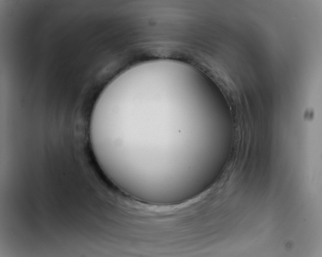 X0000103260031200808291053