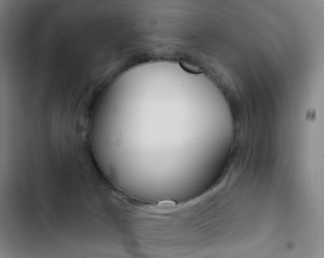 X0000103260033200808291053