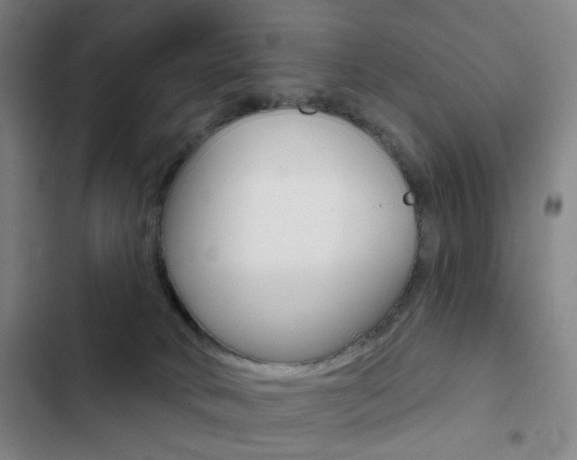 X0000103260034200808291053