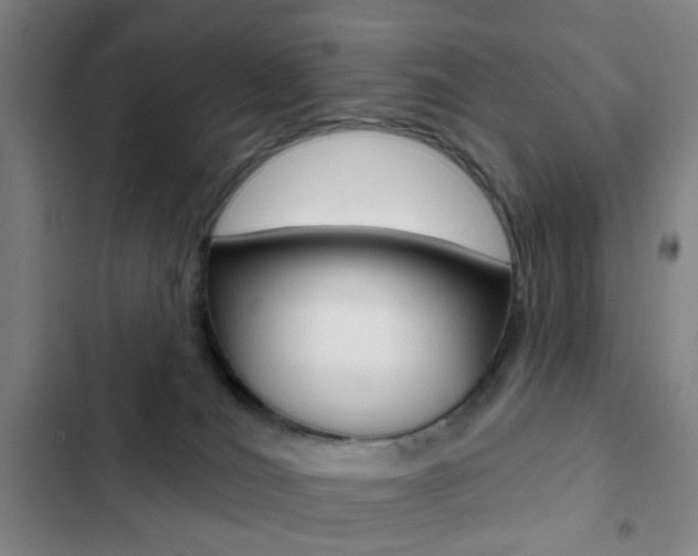 X0000103260036200808291053