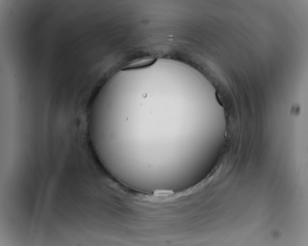 X0000103260037200808291053