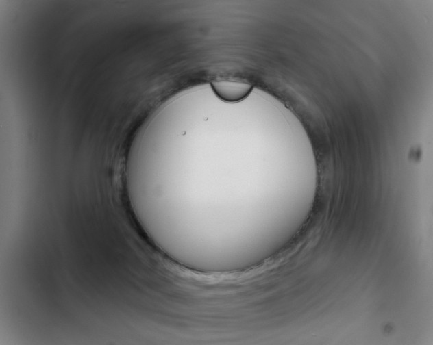 X0000103260038200808291053