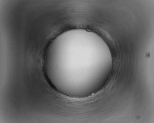 X0000103260039200808291053