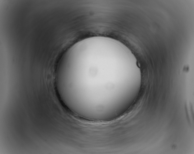 X0000103260040200808291053