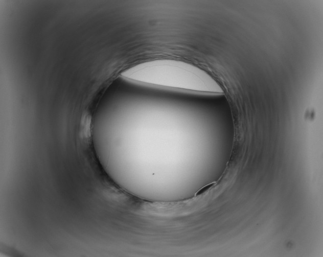 X0000103260041200808291053