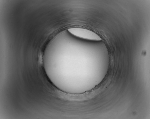 X0000103260042200808291053