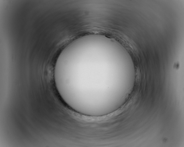 X0000103260043200808291053