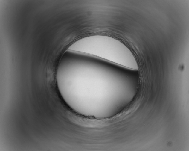 X0000103260044200808291053