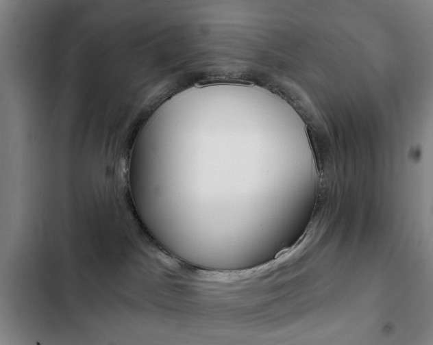 X0000103260045200808291053