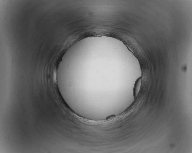 X0000103260046200808291053