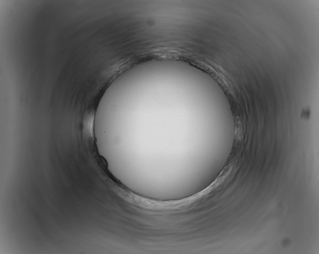 X0000103260047200808291053