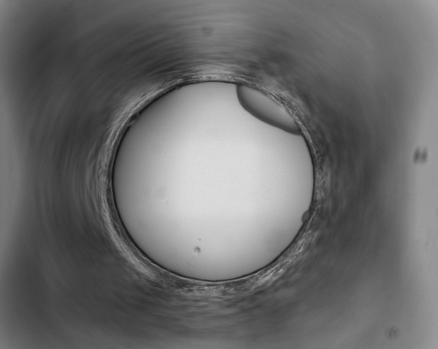 X0000103260049200808291052