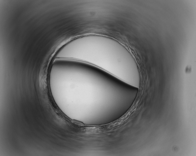 X0000103260050200808291052