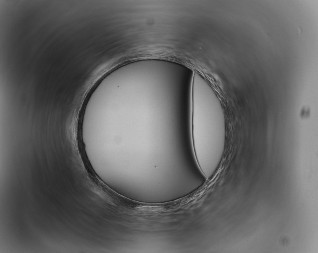 X0000103260051200808291052