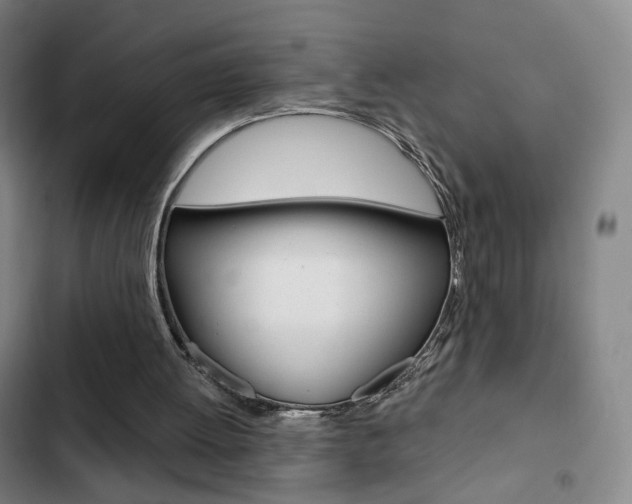 X0000103260052200808291052