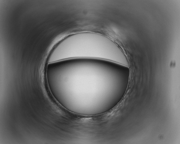 X0000103260054200808291052