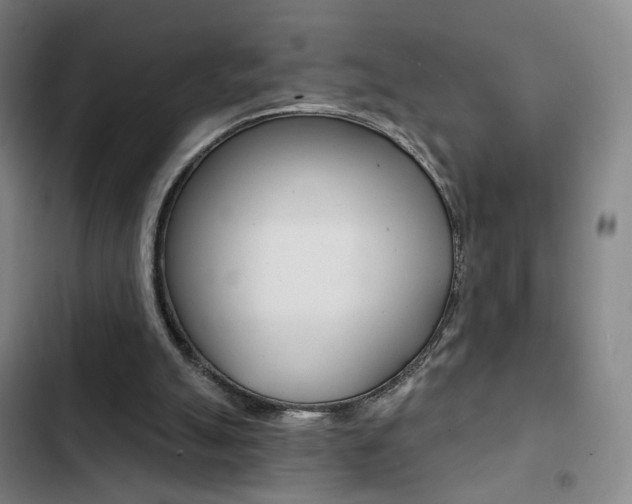 X0000103260055200808291052