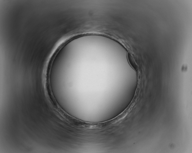 X0000103260056200808291052