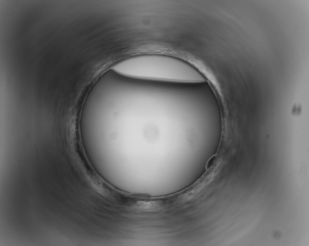 X0000103260057200808291052