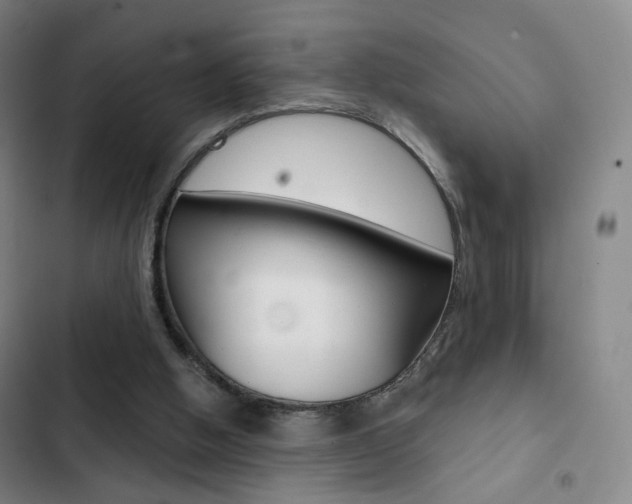 X0000103260058200808291052