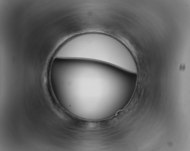 X0000103260060200808291052