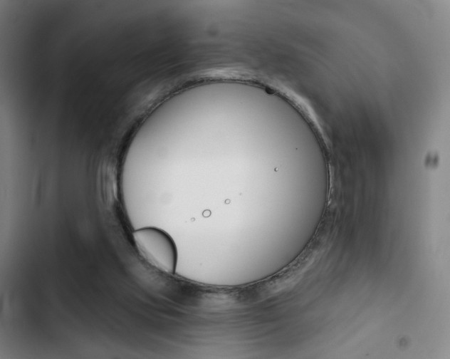 X0000103260061200808291052