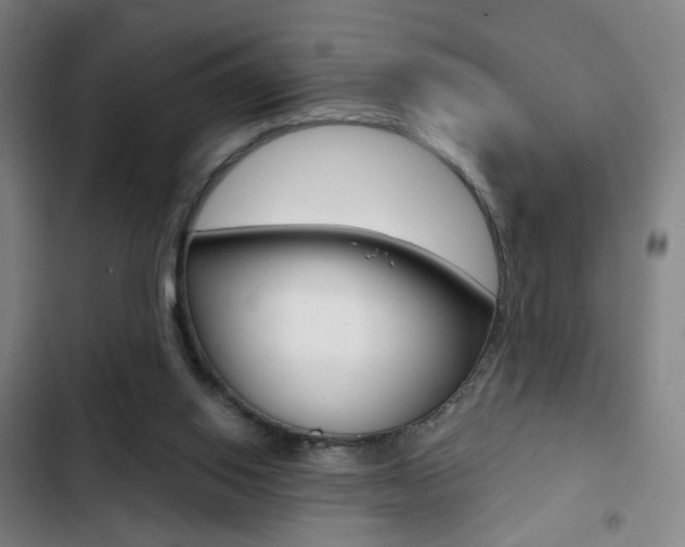 X0000103260062200808291052