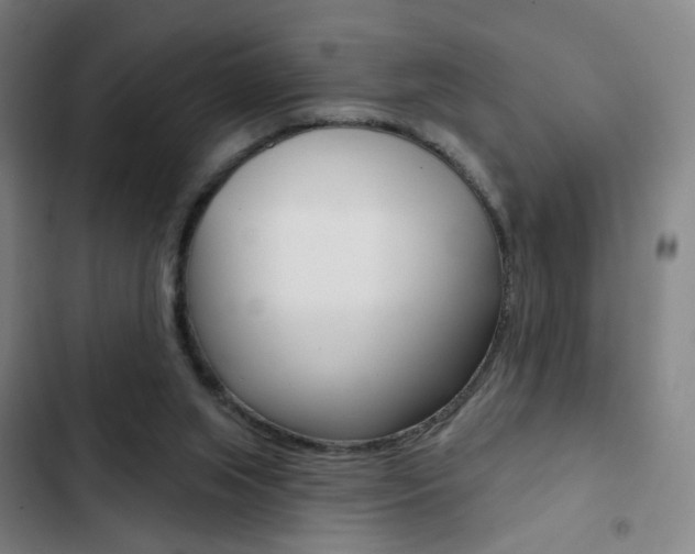 X0000103260063200808291052