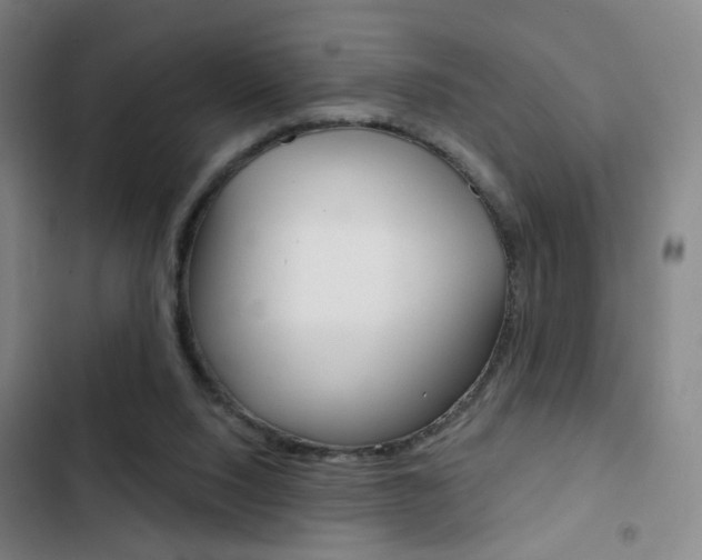 X0000103260064200808291052