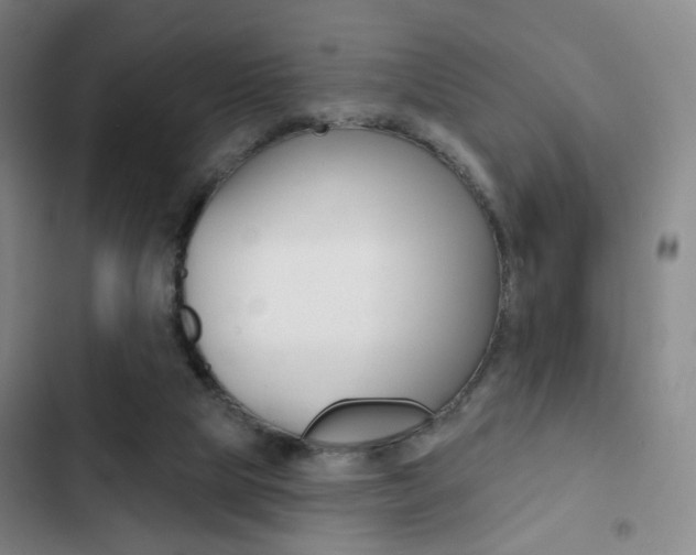 X0000103260065200808291052