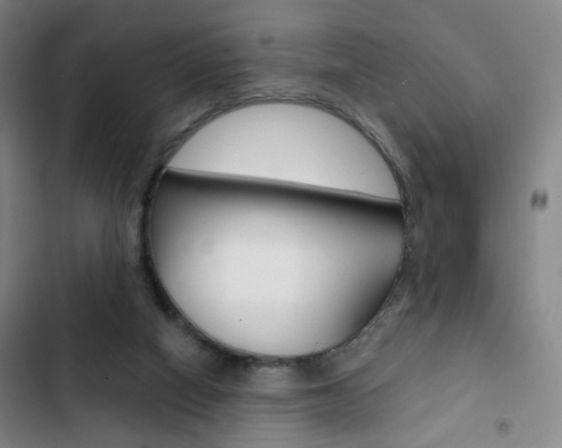 X0000103260066200808291053