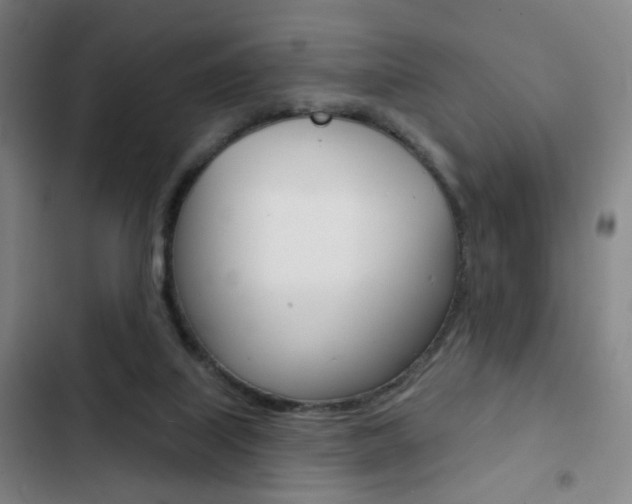 X0000103260067200808291053