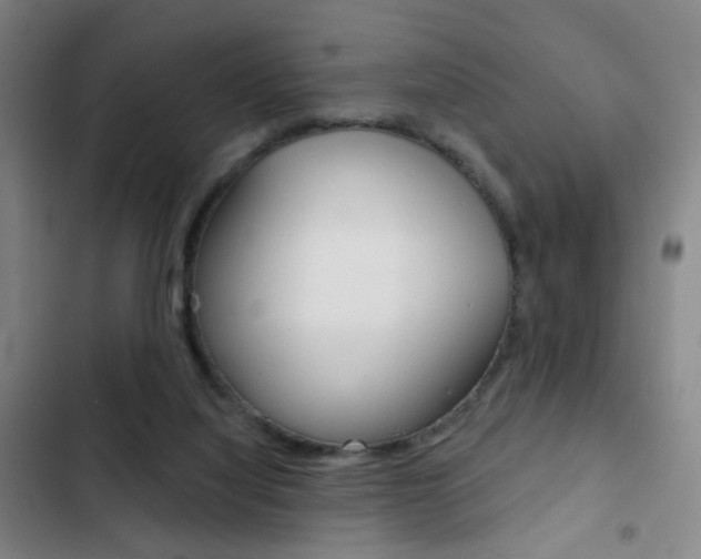 X0000103260068200808291053