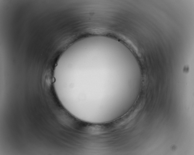 X0000103260069200808291053