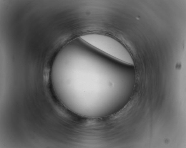 X0000103260070200808291053