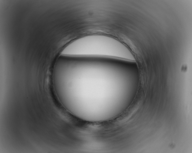 X0000103260071200808291053