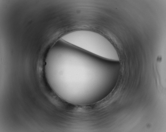 X0000103260072200808291053