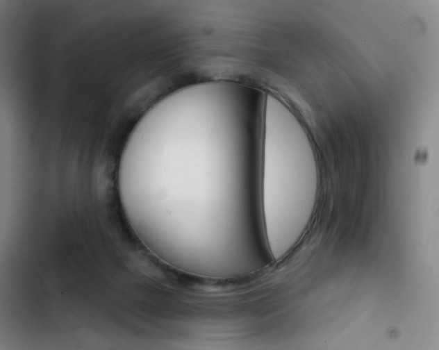 X0000103260073200808291053