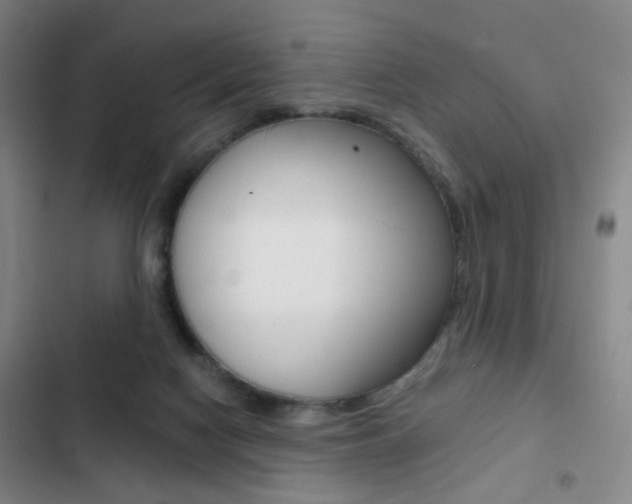 X0000103260074200808291053