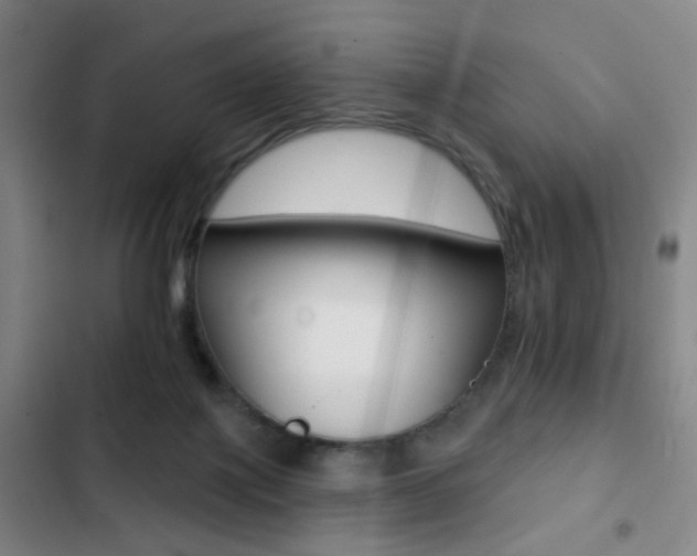 X0000103260075200808291053