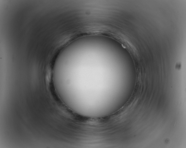 X0000103260076200808291053